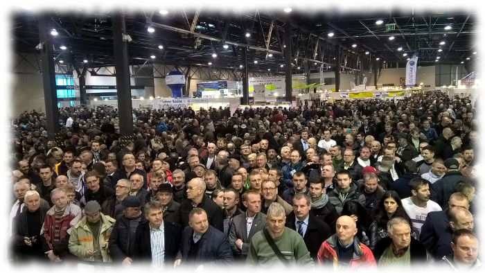 Expo Gołębie 2018